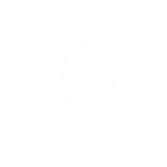 Leisure and Lifestyle